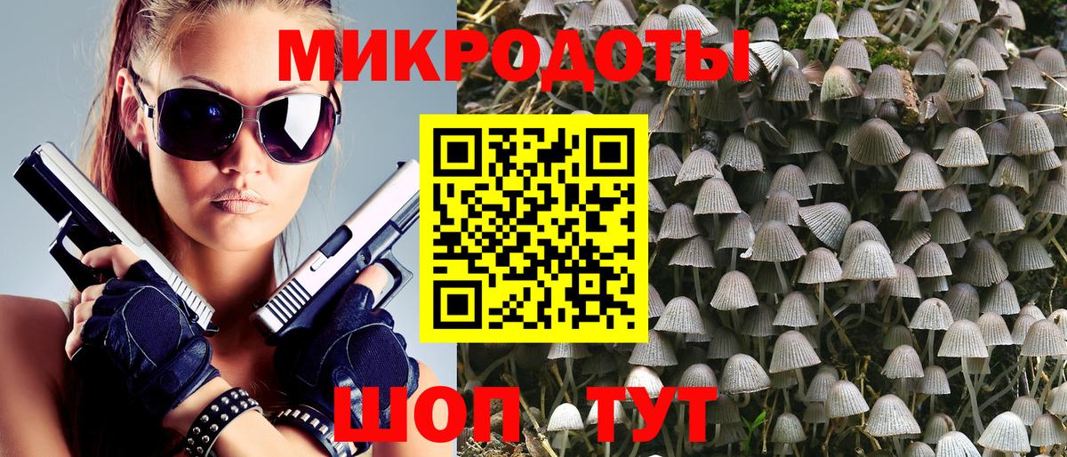 Галлюциногенные грибы Cubensis Черняховск