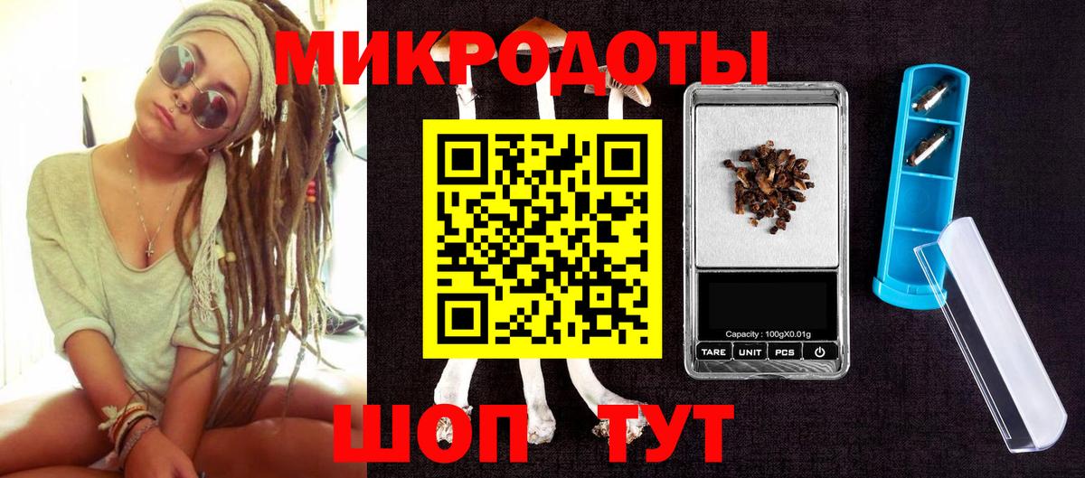 где купить наркотик  Вход с VPN  Черняховск  Псилоцибиновые грибы GOLDEN TEACHER 